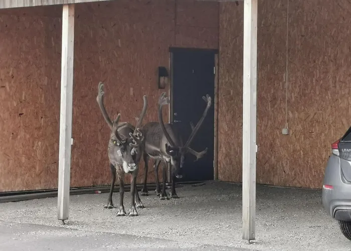 Interlake Apartamento *