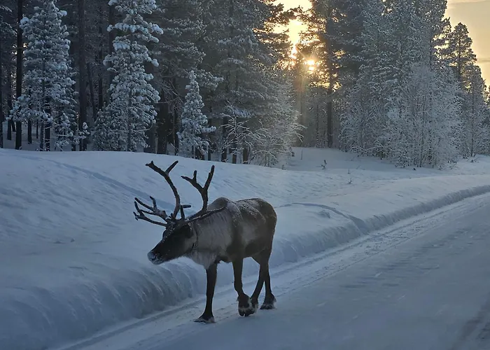 Interlake Apartamento *